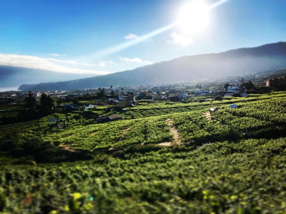 Casa Rural El Esquilon Tenerife 라오로타바 외부 사진